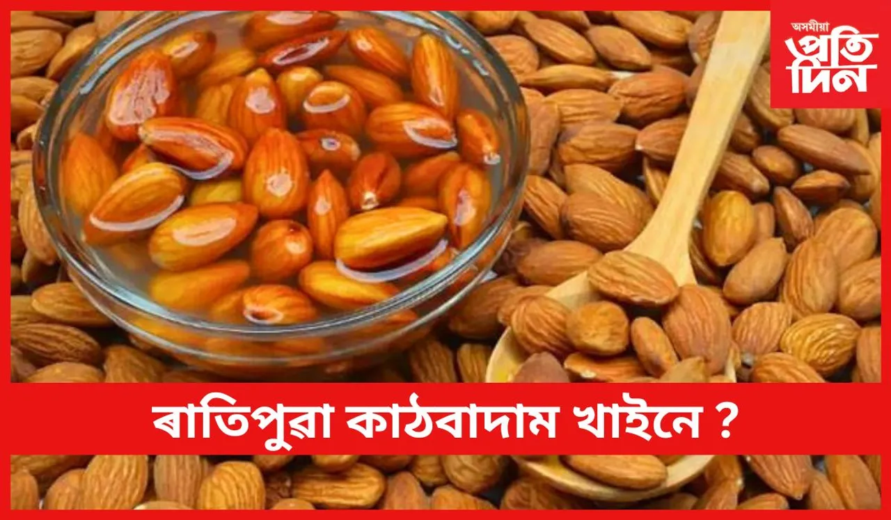 বহু গুৰুতৰ ৰোগৰ ঔষধ তিয়াই থোৱা কাঠবাদাম 